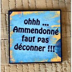 Magnet « ammendonné »